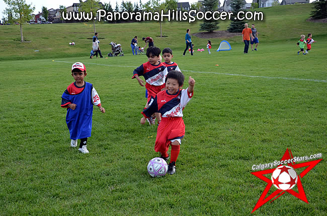 panorama-hills-calgary-tiny-soccer-stars-timbits-06