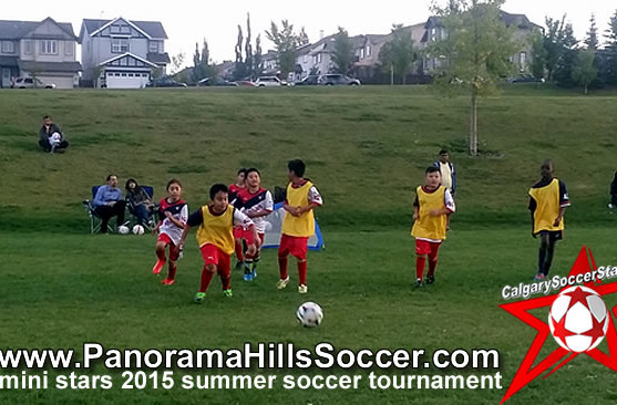 panorama-hills-calgary-mini-soccer-stars-timbits