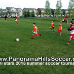 panorama-hills-calgary-mini-soccer-stars-timbits