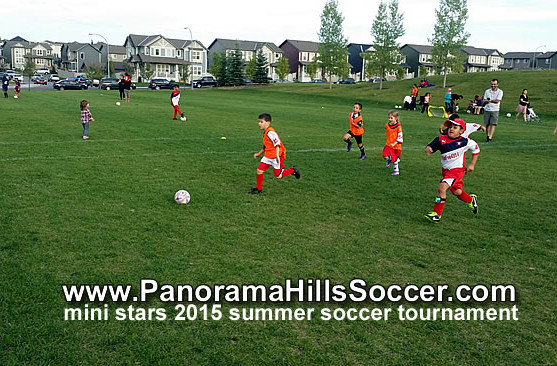 panorama-hills-calgary-mini-soccer-stars-timbits