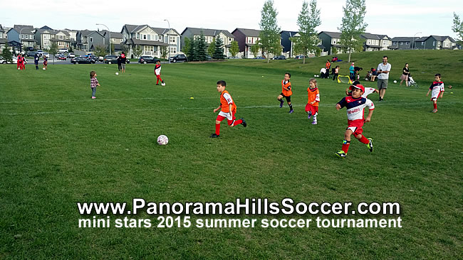 panorama-hills-rising-stars-147