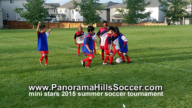 panorama-hills-rising-stars-15