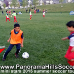 panorama-hills-calgary-mini-soccer-stars-timbits