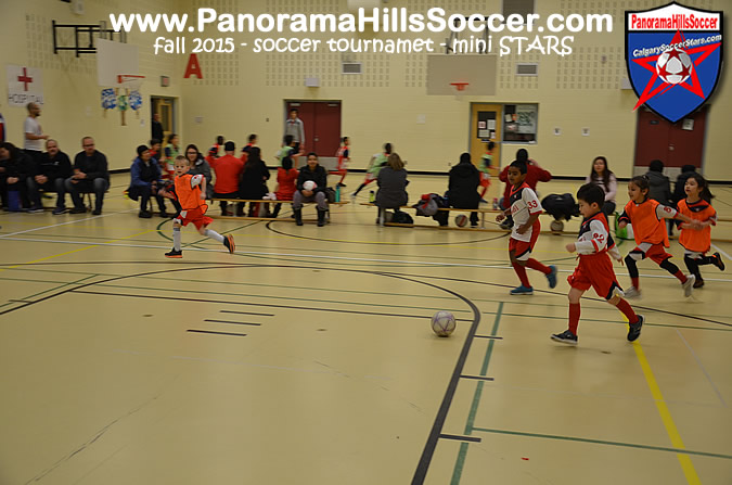 MINI-stars-calgary-soccer-for-kids-18