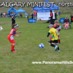 MINIFEST-north-panorama-hills-stars