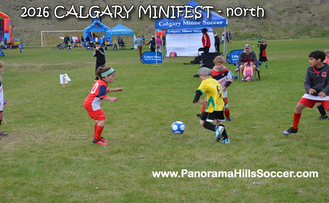 MINIFEST-north-panorama-hills-stars-05