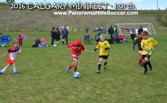 MINIFEST-north-panorama-hills-stars-07