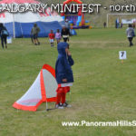 MINIFEST-north-panorama-hills-stars