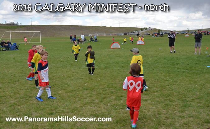 MINIFEST-north-panorama-hills-stars-11