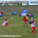 MINIFEST-north-panorama-hills-stars