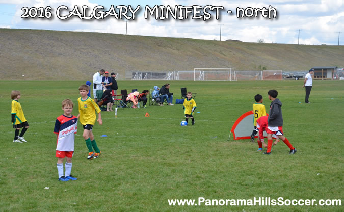 MINIFEST-north-panorama-hills-stars-13