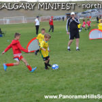 MINIFEST-north-panorama-hills-stars