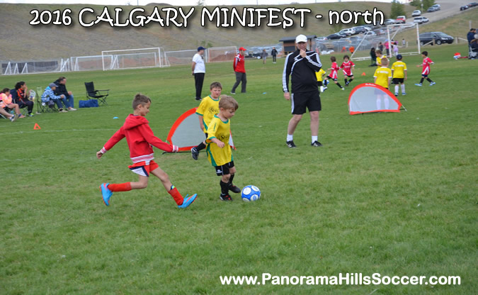 MINIFEST-north-panorama-hills-stars-15