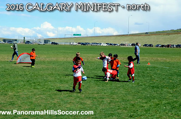minifest-north-panorama hills soccer strars