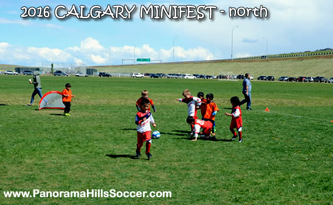 MINIFEST-north-panorama-hills-stars-16