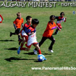 minifest-north-panorama hills soccer strars