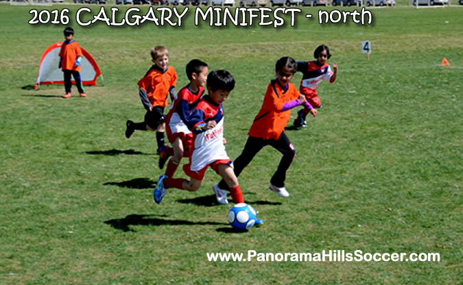 MINIFEST-north-panorama-hills-stars-18