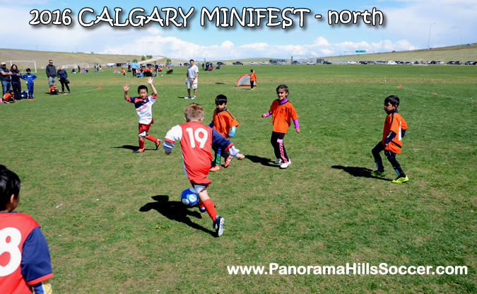 MINIFEST-north-panorama-hills-stars-20