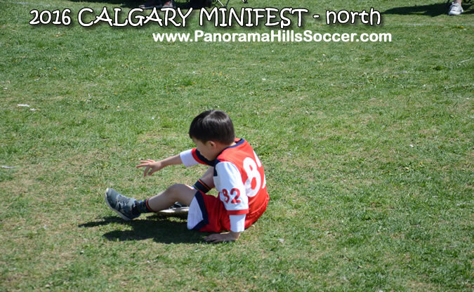 MINIFEST-north-panorama-hills-stars-21