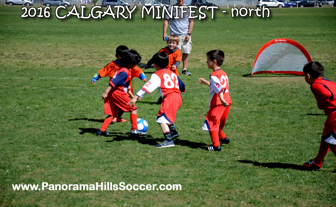 MINIFEST-north-panorama-hills-stars-24