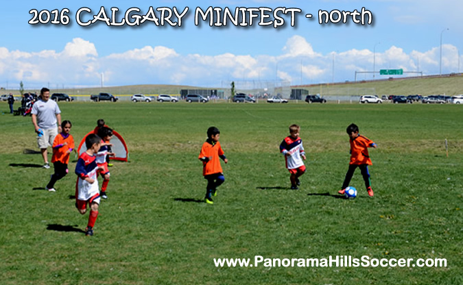 MINIFEST-north-panorama-hills-stars-25