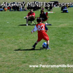 minifest-north-panorama hills soccer strars