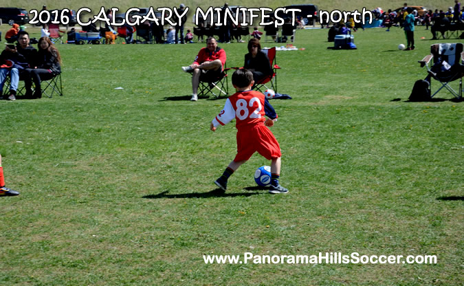 MINIFEST-north-panorama-hills-stars-30