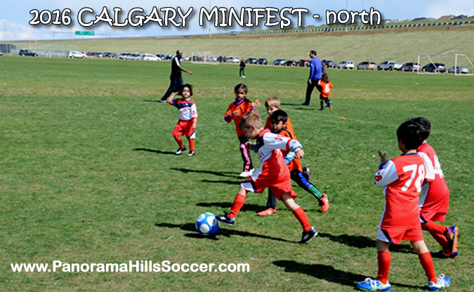 MINIFEST-north-panorama-hills-stars-33