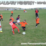 MINIFEST-north-panorama-hills-stars