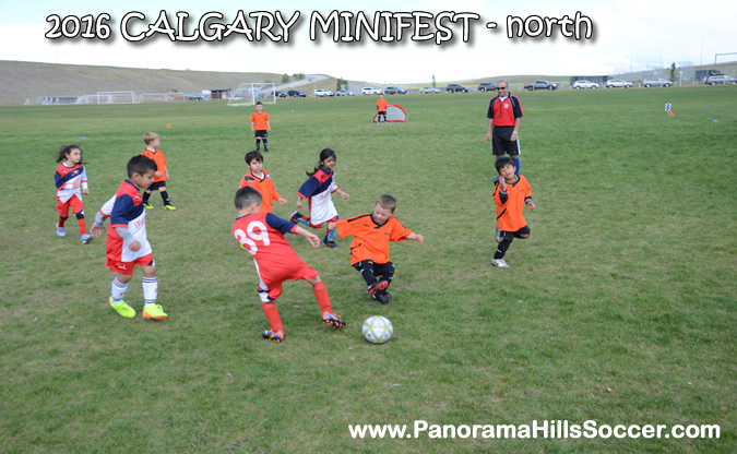 MINIFEST-north-panorama-hills-stars-37