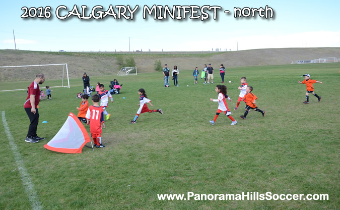 MINIFEST-north-panorama-hills-stars-39