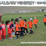 MINIFEST-north-panorama-hills-stars