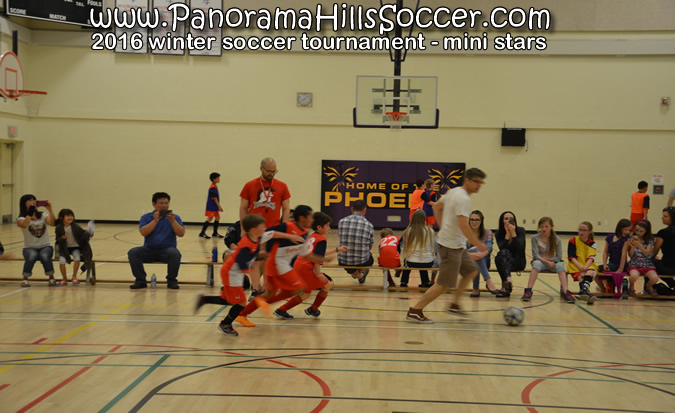 panorama-hills-soccer-mini-stars201614