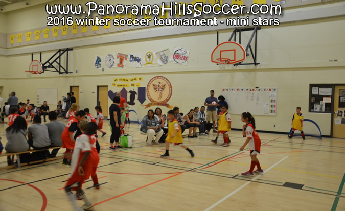 panorama-hills-soccer-mini-stars201623