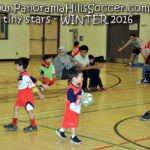 panorama hills soccer-tiny-stars