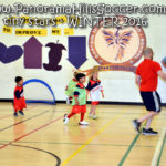 panorama hills soccer-tiny-stars