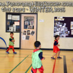 panorama hills soccer-tiny-stars