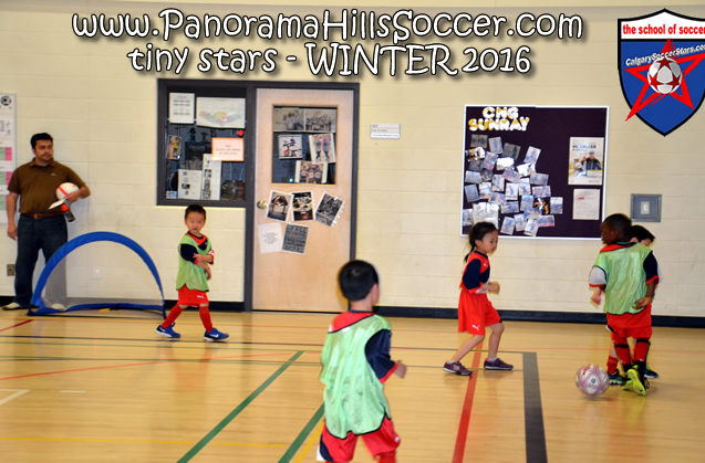 panorama hills soccer-tiny-stars
