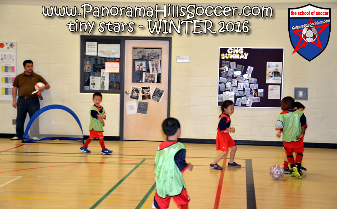 panoramahillssoccer-tiny-stars-05