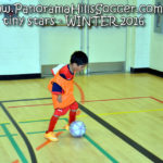 panorama hills soccer-tiny-stars