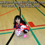 panorama hills soccer-tiny-stars