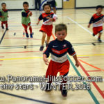 panorama hills soccer-tiny-stars