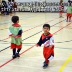 panorama hills soccer-tiny-stars