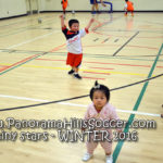 panorama hills soccer-tiny-stars