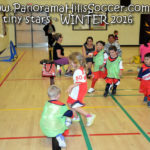 panorama hills soccer-tiny-stars