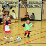 panorama hills soccer-tiny-stars