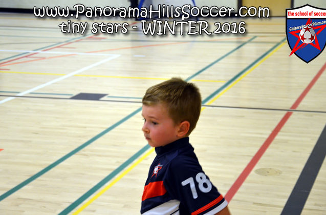 panorama hills soccer-tiny-stars