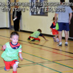 panorama hills soccer-tiny-stars