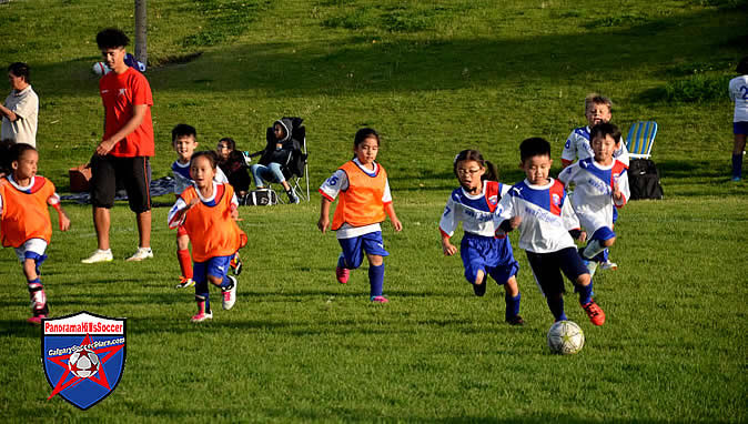 panorama-hills-mini-stars-summer-soccer-00017