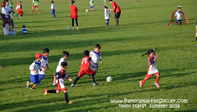 panorama-hills-mini-stars-summer-soccer-0002